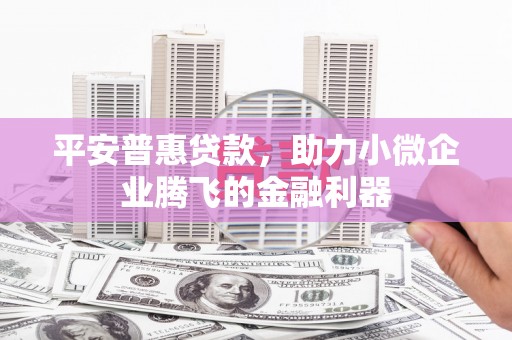 乐昌平安普惠贷款，助力小微企业腾飞的金融利器