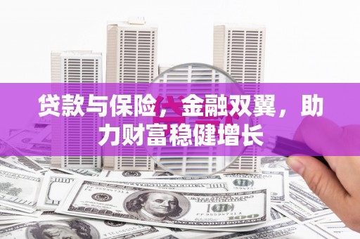 乐昌贷款与保险，金融双翼，助力财富稳健增长
