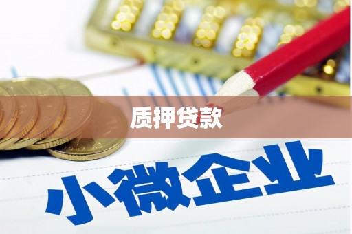 乐昌质押贷款