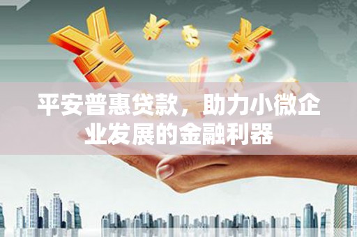 乐昌平安普惠贷款，助力小微企业发展的金融利器