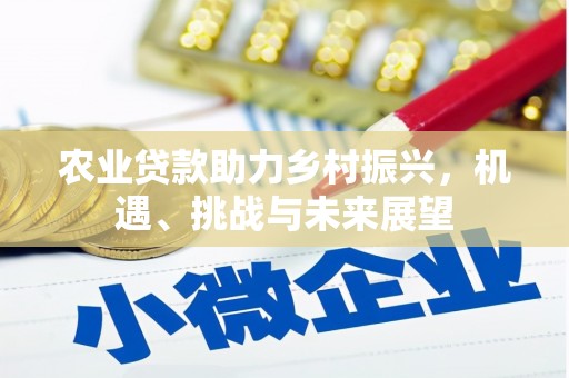 乐昌农业贷款助力乡村振兴，机遇、挑战与未来展望