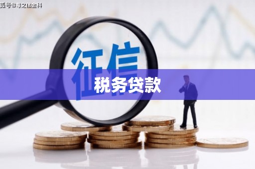 乐昌税务贷款