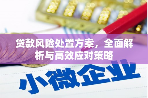 乐昌贷款风险处置方案，全面解析与高效应对策略