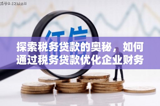 乐昌探索税务贷款的奥秘，如何通过税务贷款优化企业财务