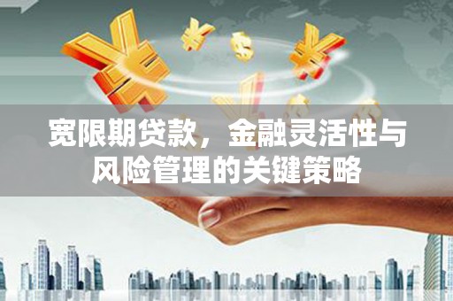 乐昌宽限期贷款，金融灵活性与风险管理的关键策略