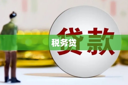 乐昌税务贷