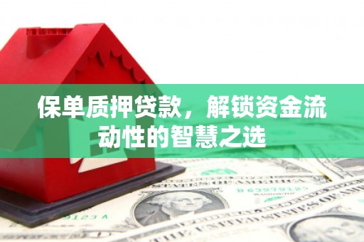 乐昌保单质押贷款，解锁资金流动性的智慧之选