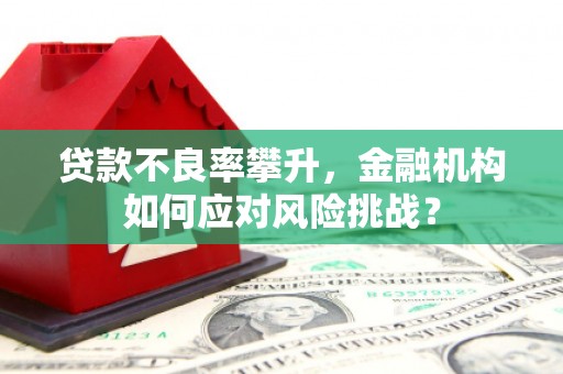 乐昌贷款不良率攀升，金融机构如何应对风险挑战？