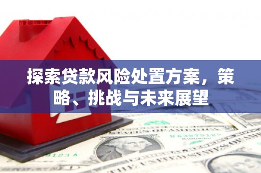 乐昌探索贷款风险处置方案，策略、挑战与未来展望