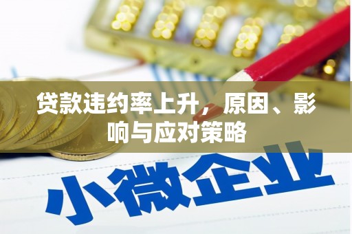 乐昌贷款违约率上升，原因、影响与应对策略