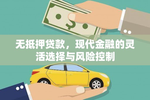 乐昌无抵押贷款，现代金融的灵活选择与风险控制