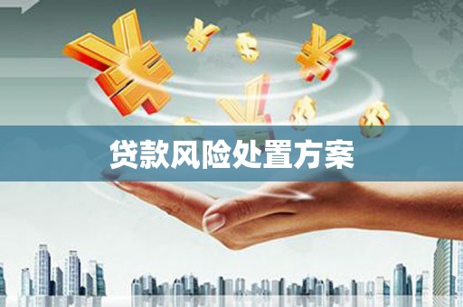 乐昌贷款风险处置方案