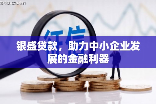 乐昌银盛贷款，助力中小企业发展的金融利器