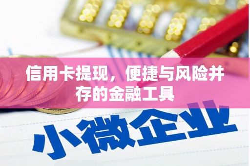乐昌信用卡提现，便捷与风险并存的金融工具