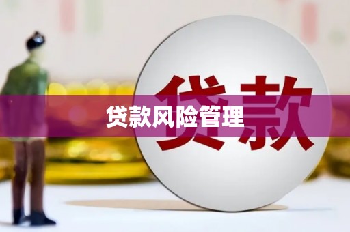 乐昌贷款风险管理