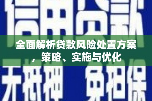 乐昌全面解析贷款风险处置方案，策略、实施与优化