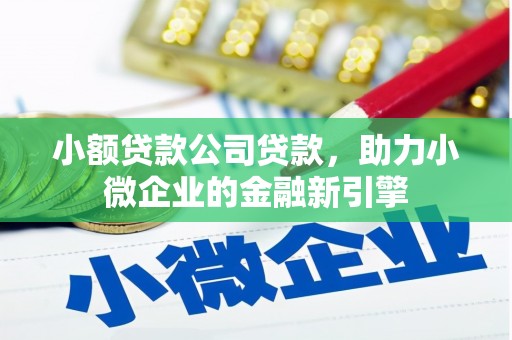 乐昌小额贷款公司贷款，助力小微企业的金融新引擎
