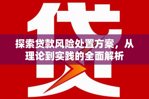 乐昌探索贷款风险处置方案，从理论到实践的全面解析
