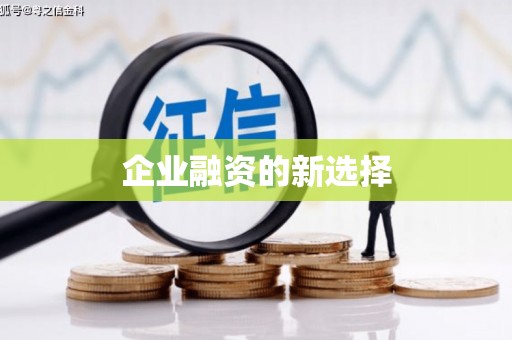 乐昌企业融资的新选择