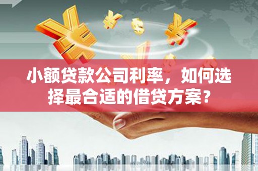 乐昌小额贷款公司利率，如何选择最合适的借贷方案？