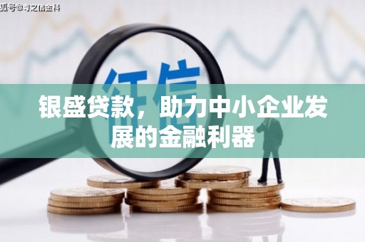 乐昌银盛贷款，助力中小企业发展的金融利器