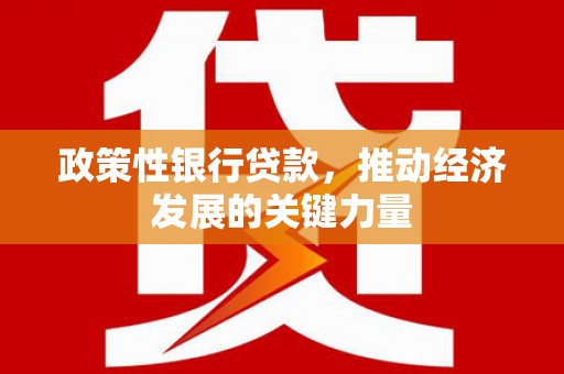 乐昌政策性银行贷款，推动经济发展的关键力量