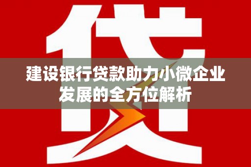 乐昌建设银行贷款助力小微企业发展的全方位解析
