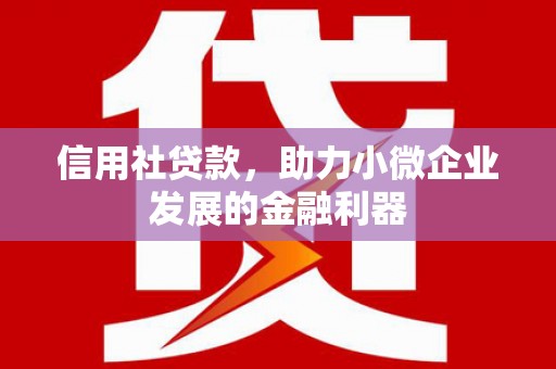 乐昌信用社贷款，助力小微企业发展的金融利器