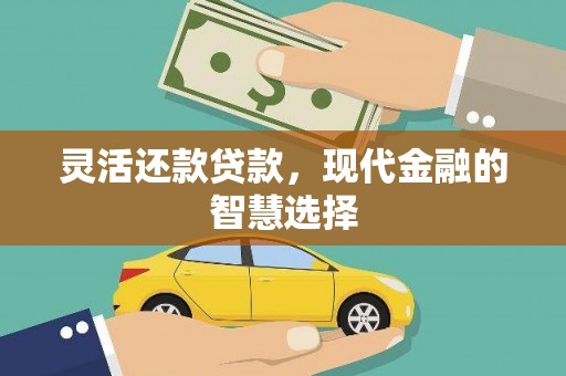 乐昌灵活还款贷款，现代金融的智慧选择