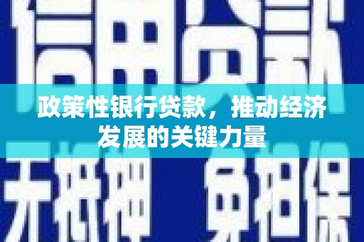 乐昌政策性银行贷款，推动经济发展的关键力量