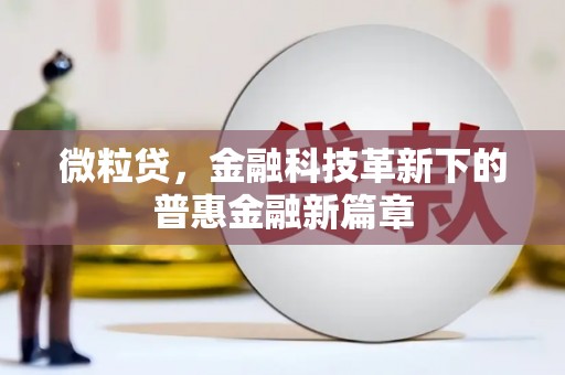 乐昌微粒贷，金融科技革新下的普惠金融新篇章