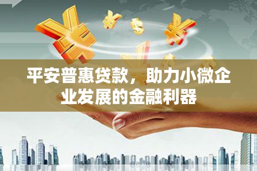 乐昌平安普惠贷款，助力小微企业发展的金融利器
