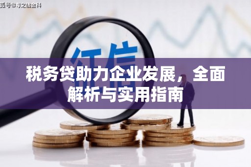 乐昌税务贷助力企业发展，全面解析与实用指南