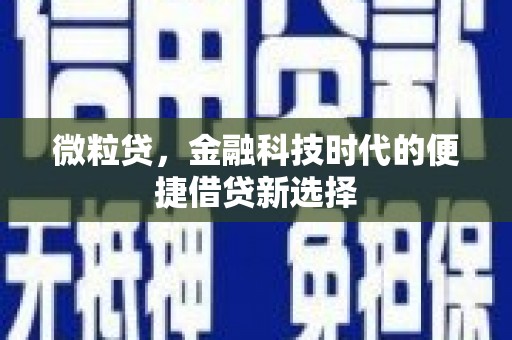 乐昌微粒贷，金融科技时代的便捷借贷新选择
