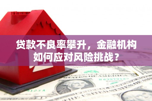 乐昌贷款不良率攀升，金融机构如何应对风险挑战？