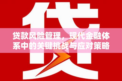 乐昌贷款风险管理，现代金融体系中的关键挑战与应对策略