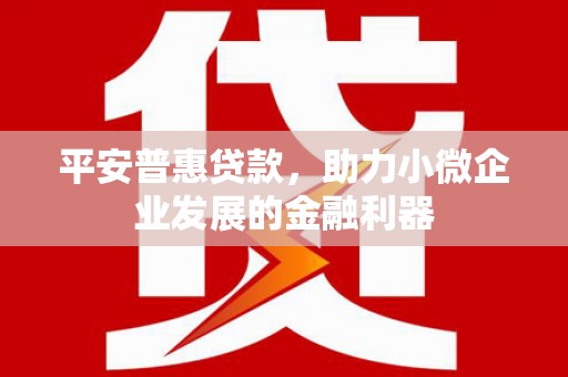乐昌平安普惠贷款，助力小微企业发展的金融利器