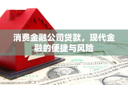 乐昌消费金融公司贷款，现代金融的便捷与风险