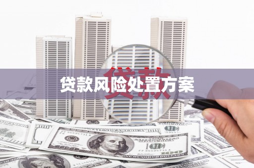 乐昌贷款风险处置方案