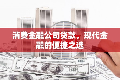 乐昌消费金融公司贷款，现代金融的便捷之选