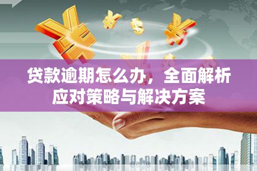 乐昌贷款逾期怎么办，全面解析应对策略与解决方案