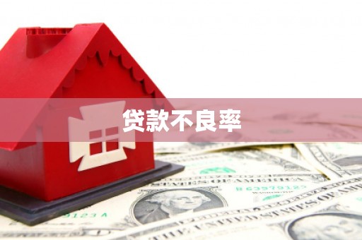 乐昌贷款不良率