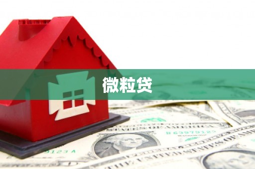 乐昌微粒贷