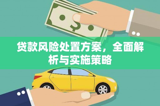 乐昌贷款风险处置方案，全面解析与实施策略