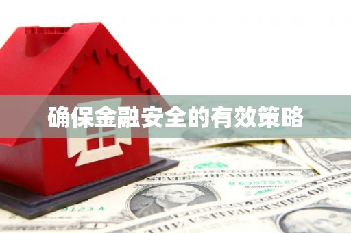 乐昌确保金融安全的有效策略