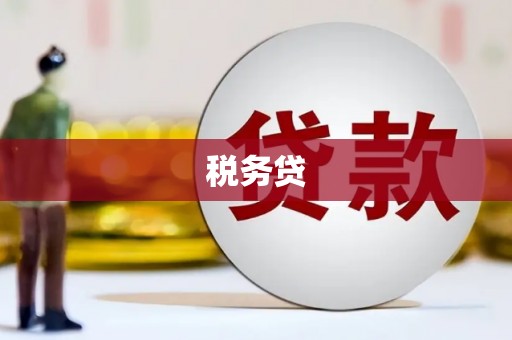 乐昌税务贷