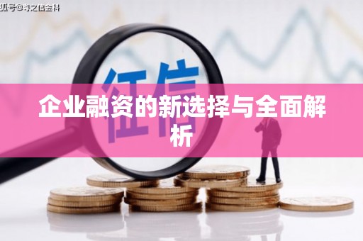乐昌企业融资的新选择与全面解析