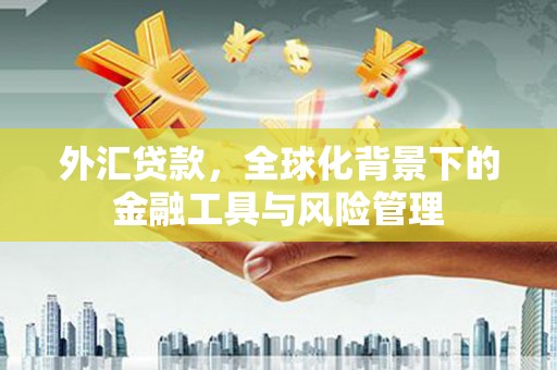 乐昌外汇贷款，全球化背景下的金融工具与风险管理