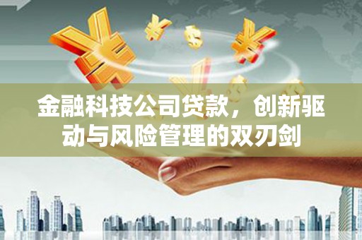 乐昌金融科技公司贷款，创新驱动与风险管理的双刃剑